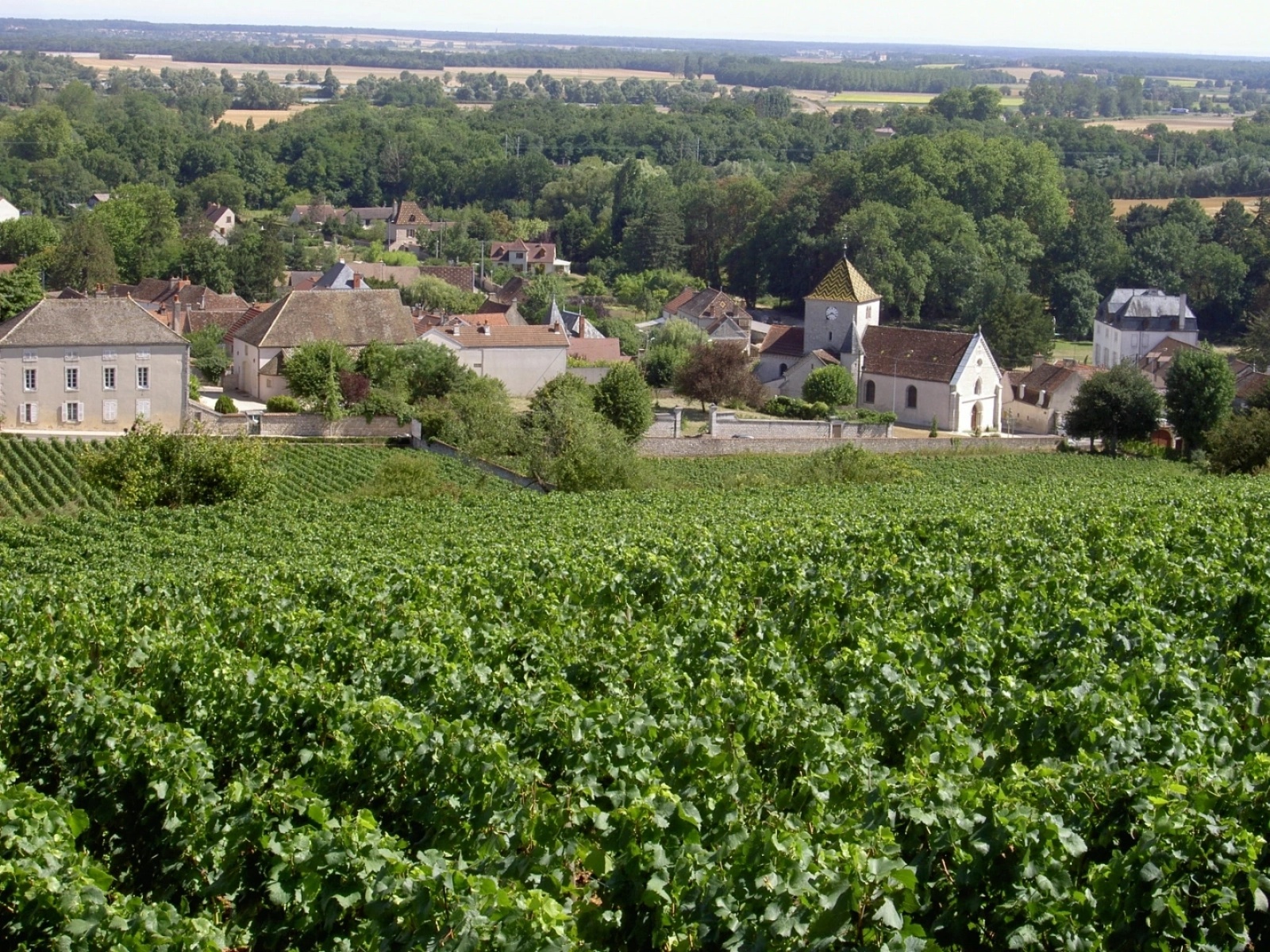 Maison Ambroise - Domaine viticole Premeaux-Prissey